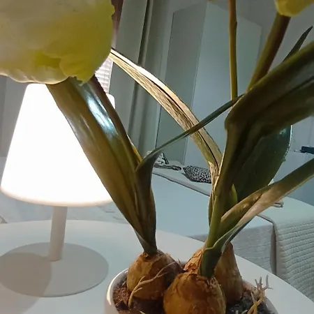 Ristel Bed & Breakfast 3*